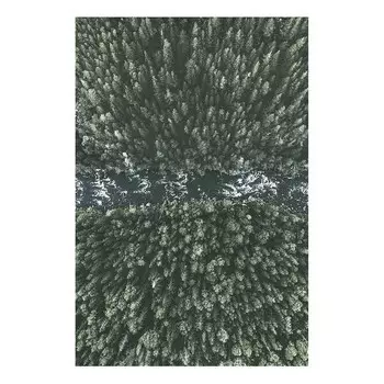 Фреска Artgeist Forest River, зеленый