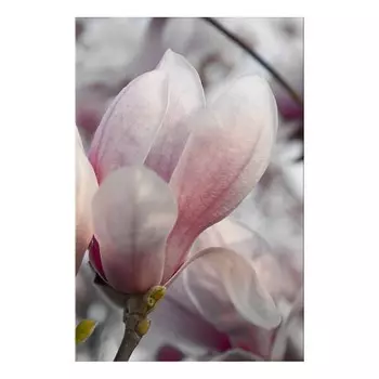 Фреска Artgeist Herald of Spring, разноцветный