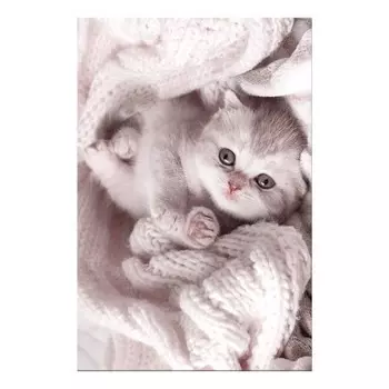 Фреска Artgeist Lover of Rest, розовый