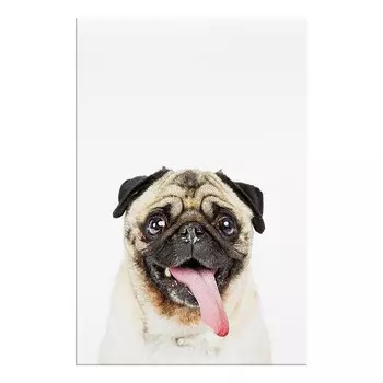 Фреска Artgeist Pug, разноцветный