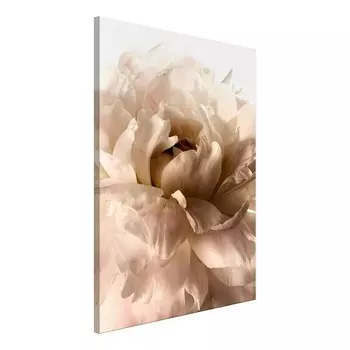 Фреска Artgeist Soft Petals, коричневый