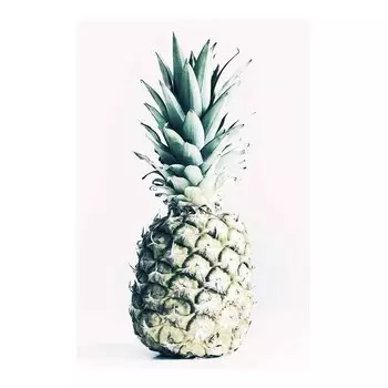 Фреска Komar Pineapple, разноцветный