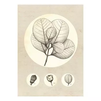 Фреска Komar Transparent Leaf, разноцветный