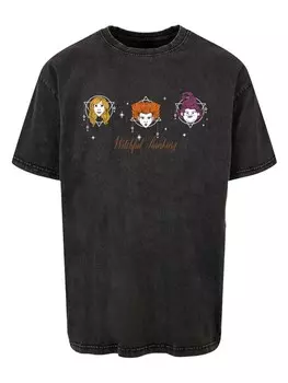Футболка Absolute Cult s, черный