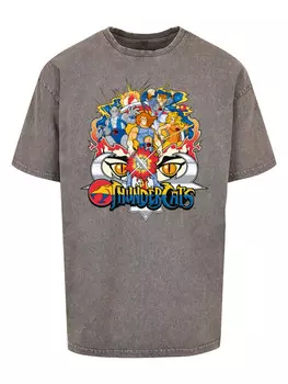 Футболка Absolute Cult s, цвет asphalt