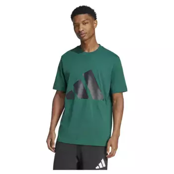 Футболка adidas Essentials Big Logo, зеленый