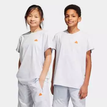 Футболка Adidas HR6272, синий
