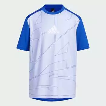 Футболка Adidas IA9319, синий