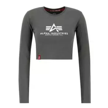 Футболка Alpha Industries Basic, серый