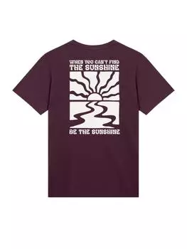 Футболка F4NT4STIC, цвет maroon