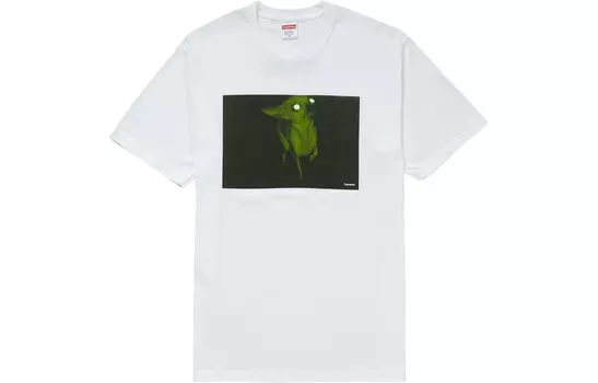 Футболка FW18 унисекс Supreme