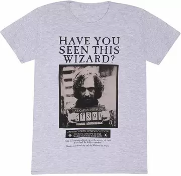 Футболка Harry Potter, серый