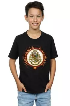 Футболка Хогвартс-Рейл Harry Potter, черный