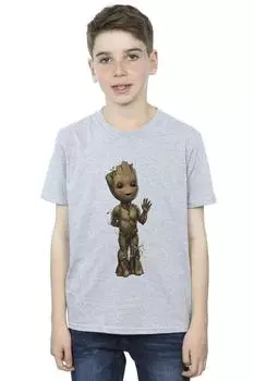 Футболка I Am Groot Wave Pose Marvel, серый