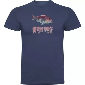 Футболка Kruskis Dentex, синий
