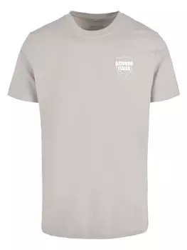 Футболка Mister Tee s, цвет lightasphalt