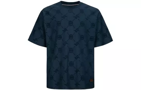 Футболка мужская черная Evisu, черный