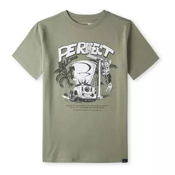 Футболка Oneill Blend, зеленый