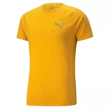 Футболка Puma Evostripe, желтый