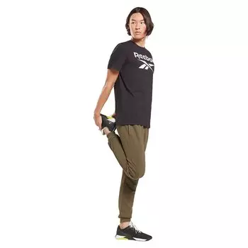 Футболка Reebok Ri Big Logo, черный