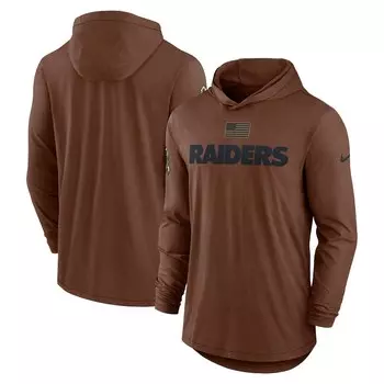 Футболка с длинным рукавом Nike Las Vegas Raiders, коричневый