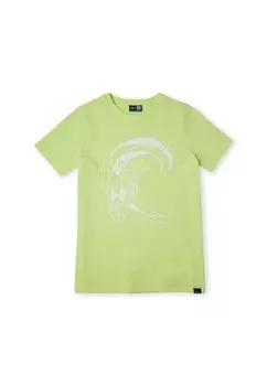 Футболка с принтом CIRCLE SURFER O'Neill, цвет sunny lime