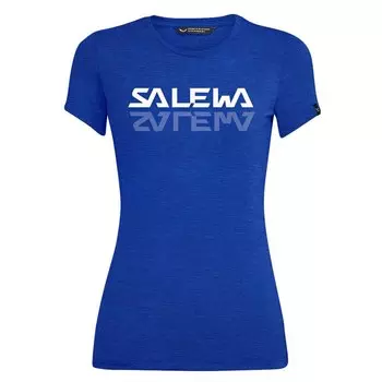Футболка Salewa Graphic Dri-Release, синий