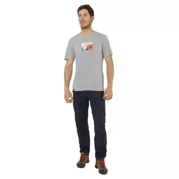 Футболка Salewa Pure Design Dry, серый
