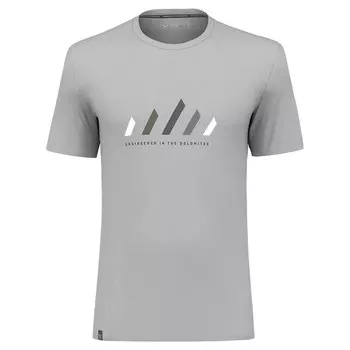 Футболка Salewa Pure Stripes Dry, серый