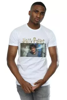Футболка Steam Ears Harry Potter, белый