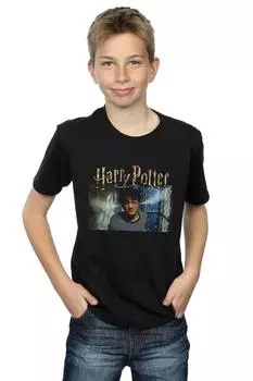 Футболка Steam Ears Harry Potter, черный
