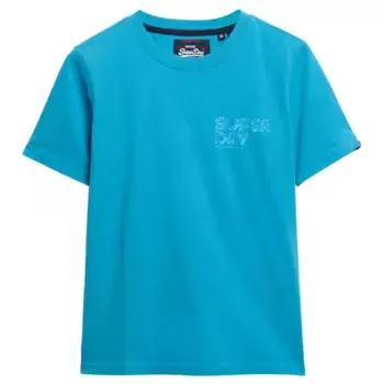 Футболка Superdry Neon, синий
