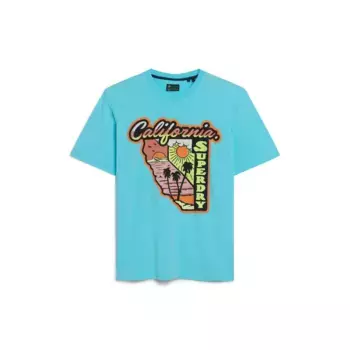 Футболка Superdry Neon Travel Graphic Loose, синий