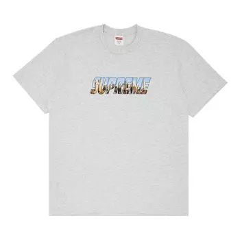 Футболка Supreme Gotham Пепельно-серый