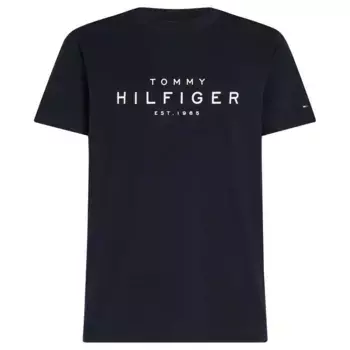 Футболка Tommy Hilfiger Big, синий