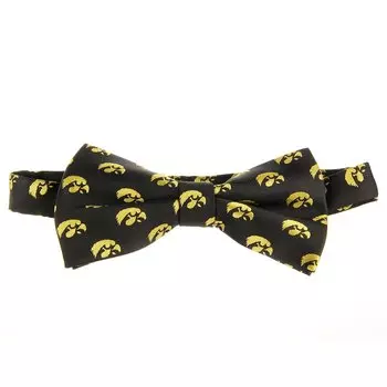 Галстук Eagles Wings Iowa Hawkeyes