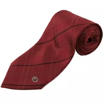 Галстук Eagles Wings South Carolina Gamecocks