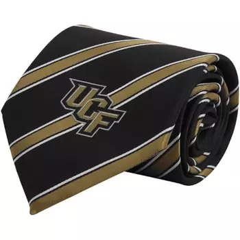 Галстук Eagles Wings Ucf Knights