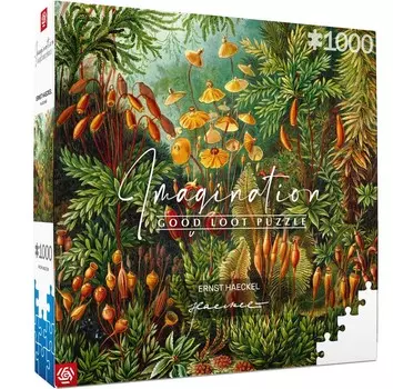 Good Loot, пазл, Ernst Haeckel Muscinae, 1000 шт.