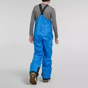 Горнолыжные брюки The North Face Freedom Insulated, цвет Optic Blue