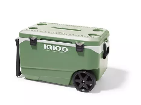 Холодильник Ecocool Igloo, зеленый