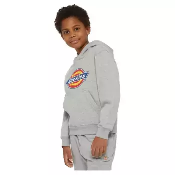 Худи Dickies Youth Logo, серый