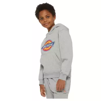 Худи Dickies Youth Logo, серый