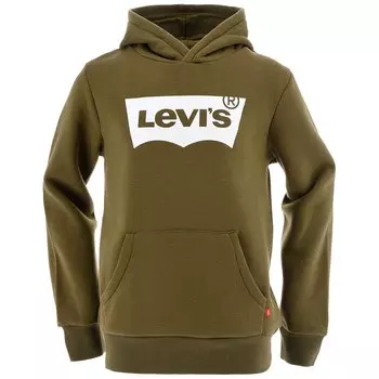 Худи Levis Batwing Screenprint, зеленый