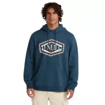Худи Oneill Front Print, синий