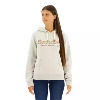 Худи Superdry Rainbow Logo, серый