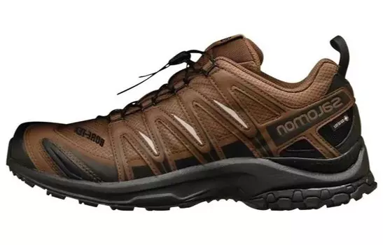 И Wander X XA Pro 3D GORE-TEX «Темно-земляной черный» Salomon