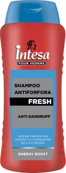 INTESA шампунь против перхоти Свежий 300мл