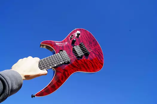 Электрогитара ESP LTD H3-1000 - See Thru Black Cherry 6-String Electric Guitar