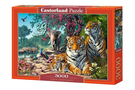 Касторланд, пазл Tiger Sanctuary, 3000 шт. Castorland